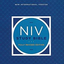 (중고) NIV STUDY BIBLE (하드커버/가죽)