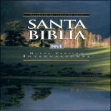 NVI SANTA BIBLIA - (SPANISH, 스페인어성경) : Nueva Version Internacional